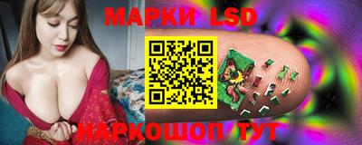 крисы Беслан