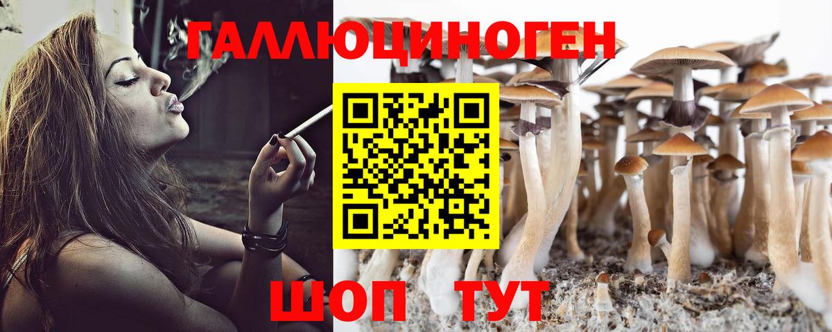 Псилоцибиновые грибы ЛСД Искитим