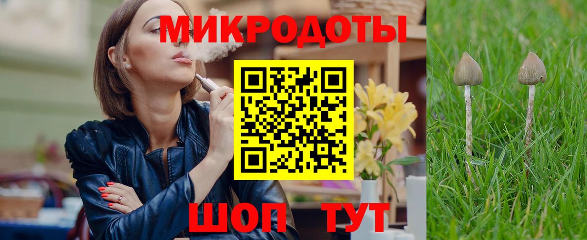где купить наркоту  Вход с VPN  Искитим  Галлюциногенные грибы прущие грибы 