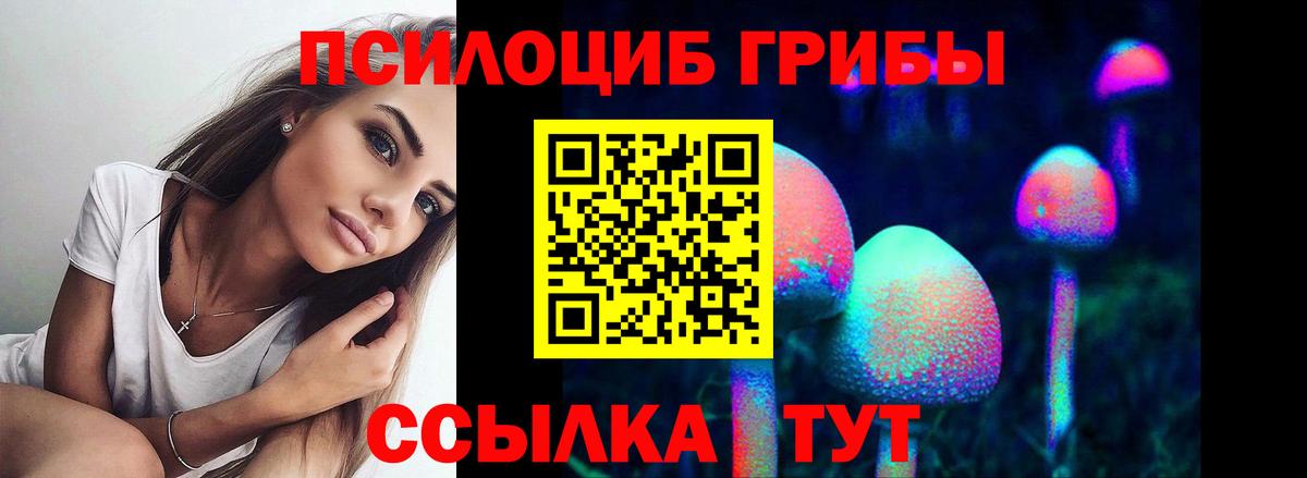 Псилоцибиновые грибы мицелий Искитим