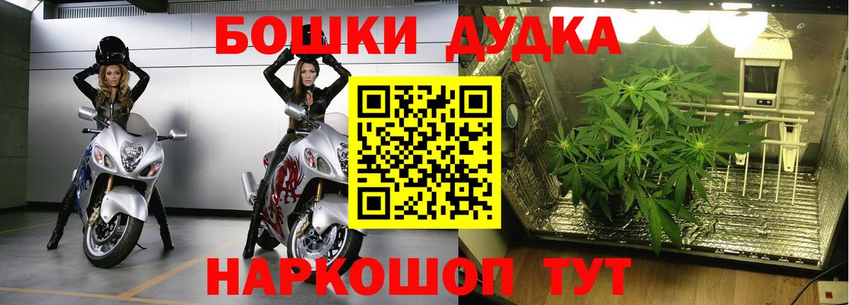 COCAIN Искитим